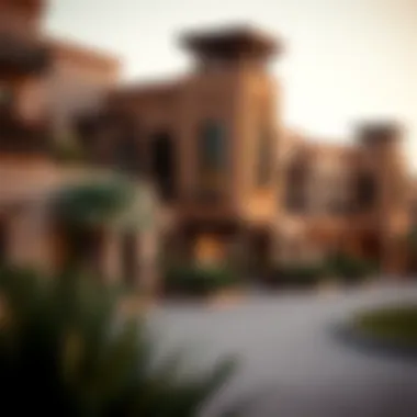 Magnificent Al Rumailah: Insights into a Characteristic Neighborhood in Dubai Magnificent Al Rumailah: Insights into a Characteristic Neighborhood in Dubai