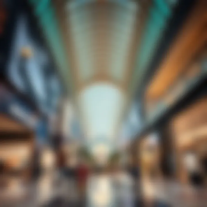 Magnificent Exploring Activities at The Dubai Mall