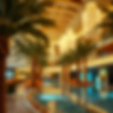 Magnificent Exploring the Melia Desert Palm Hotel: A Comprehensive Guide
