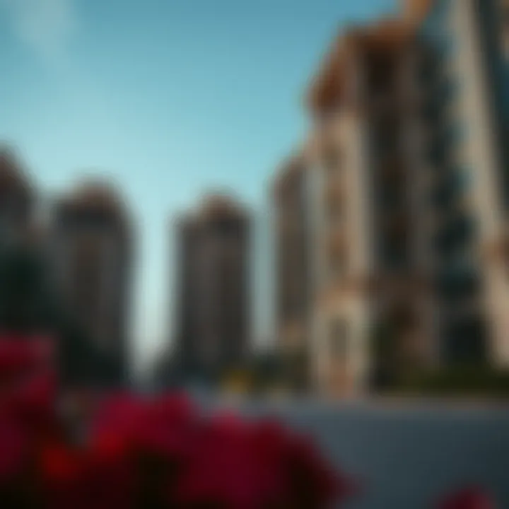 Magnificent Navigating the Process of تحميل شهادة ايجاري