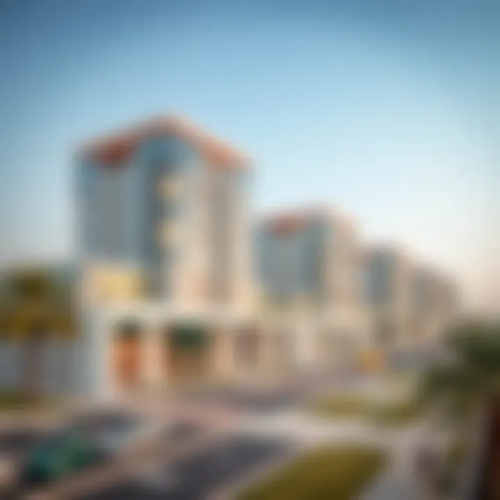 A Comprehensive Overview of Damac Leasing: Insights and Implications Summary