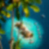 Secluded Paradise: Aerial View of a Private Island Aerial view of a secluded private island surrounded by turquoise waters