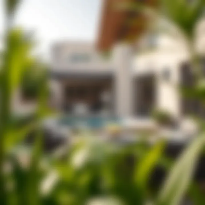 Outdoor Serenity at Bloom Villas Serene backyard and garden area of Bloom Villas emphasizing outdoor living