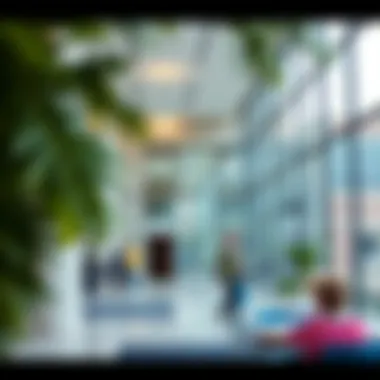 An educational institution in Dubai reflecting schooling options