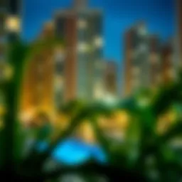 Comprehensive Guide to Renting a 1 BHK Apartment in Deira, Dubai Introduction