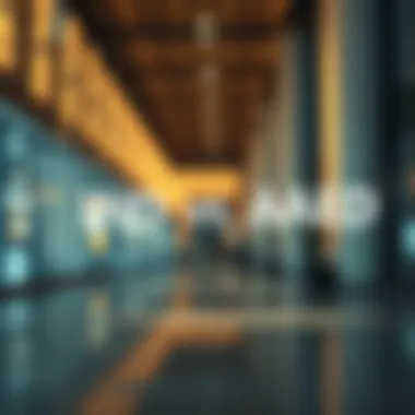 Visual representation of purchasing power comparison between INR and AED