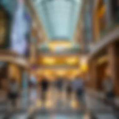 Exploring Activities at The Dubai Mall Summary