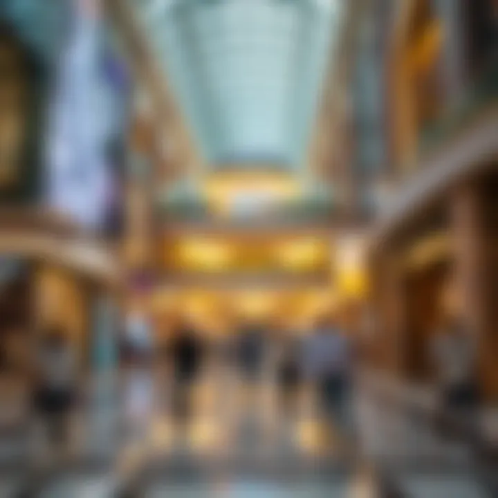 Exploring Activities at The Dubai Mall Summary