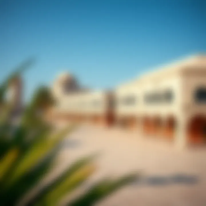 Exploring Al Warsan: A Comprehensive Overview Summary
