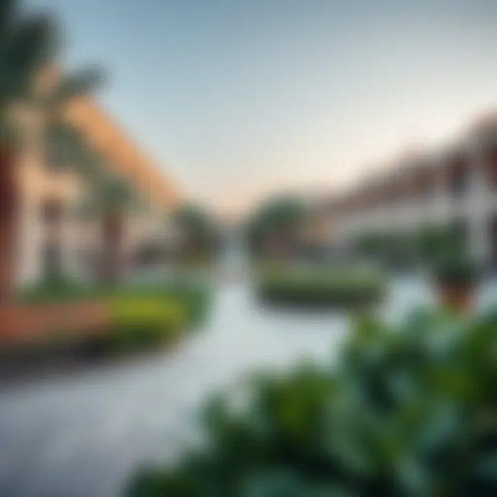 Outdoor Spaces and Parks Outdoor spaces and parks in Rashidiya