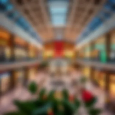 Exploring Festival Mall: A Comprehensive Insight Summary