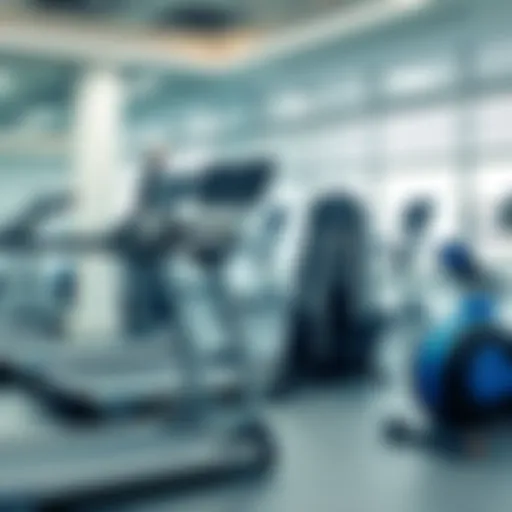 Modern gym equipment at Damac Hills 2