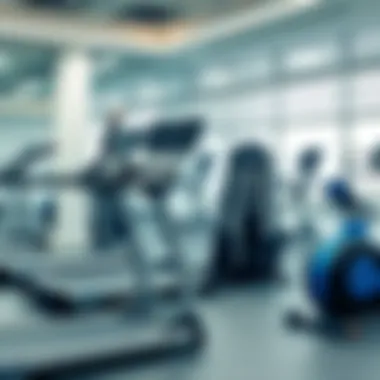 Modern Gym Equipment Modern gym equipment at Damac Hills 2