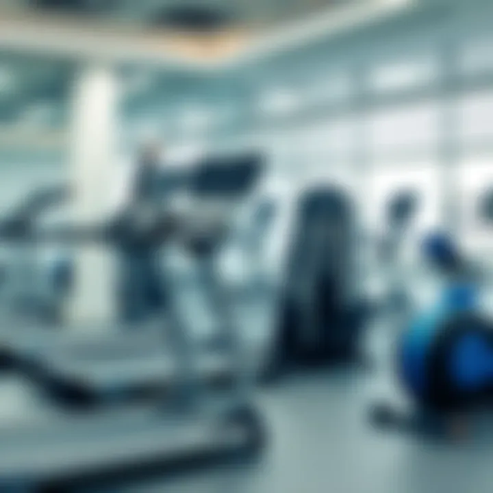 Modern Gym Equipment Modern gym equipment at Damac Hills 2