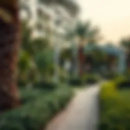 Lush greenery and pathways in Khalifa Park