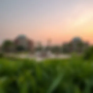 Exploring Mirdif Park: A Comprehensive Overview of One of Dubai's Hidden Gems Summary