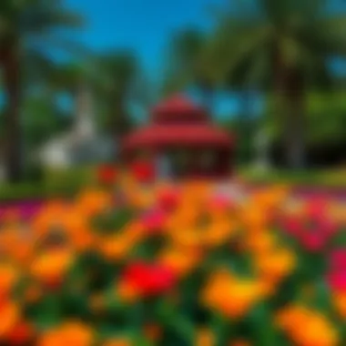 The serene beauty of the Dubai Miracle Garden filled with vibrant flowers