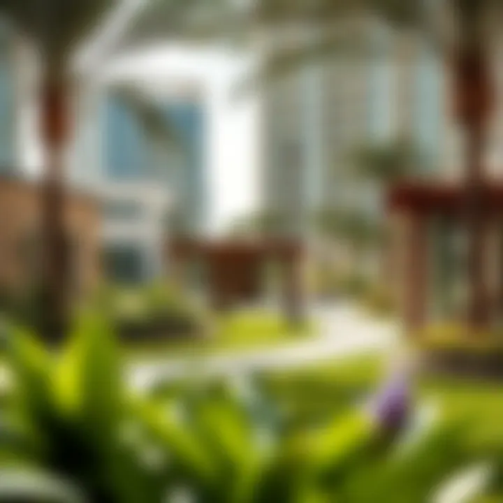 Community features and green spaces surrounding the Silicon Oasis Palace Tower.