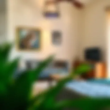 Charming Cozy Studio Apartment Cozy studio apartment setup with beautiful decor