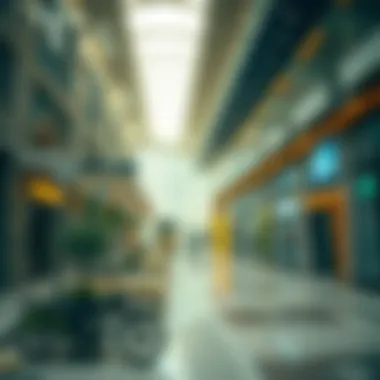 Exploring the Best Money Exchange Options in the UAE Introduction