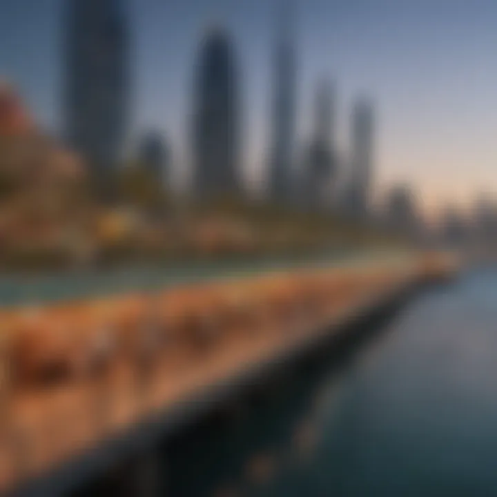 A panoramic view of Dubai's Boardwalk showcasing its vibrant atmosphere and design