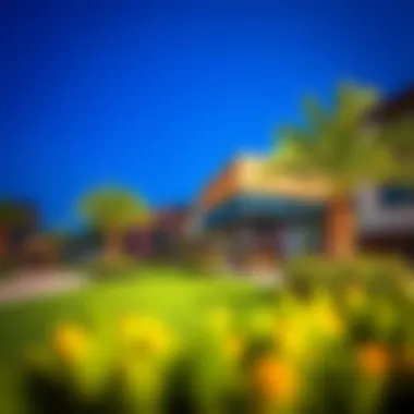 Vibrant community amenities in JLT Cluster C including parks and recreational areas