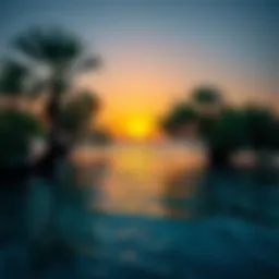 Serene view of UAE mangrove beach at sunset