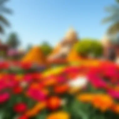Dubai Miracle Garden: A Floral Wonderland Vibrant colors of the Dubai Miracle Garden filled with flowers