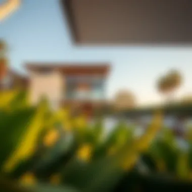 Exploring The Residence JVC: A Comprehensive Overview Summary Exploring The Residence JVC: A Comprehensive Overview Summary