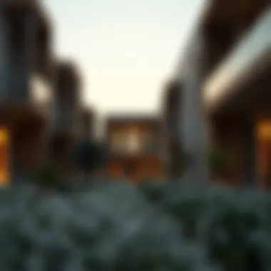 Exploring the Varieties of Housing in the UAE Summary Exploring the Varieties of Housing in the UAE Summary