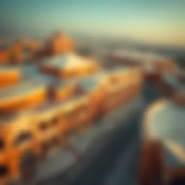 Aerial view of Jabra Al Ain Market showcasing the unique architecture