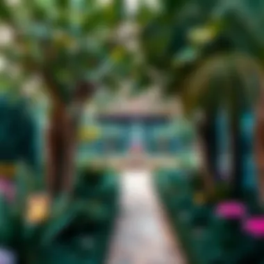 Magic Gardens in Dubai: A Detailed Exploration Summary