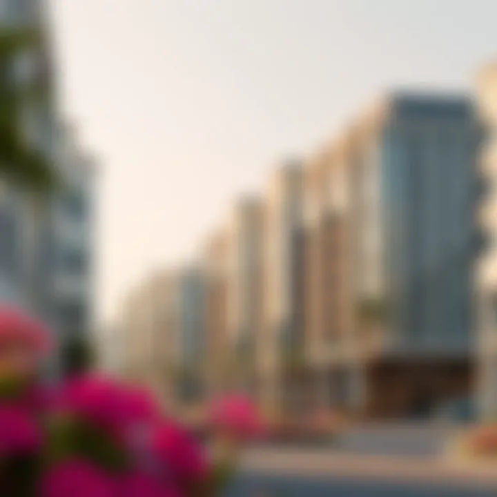 Notable Serena Dubailand: A Comprehensive Overview