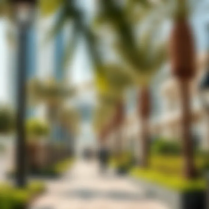 Amenities Enhancing شارع خالد بن الوليد Public amenities surrounding شارع خالد بن الوليد