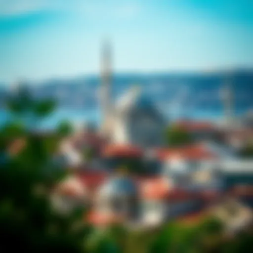 Cultural Splendor of Istanbul Scenic view of Istanbul showcasing its rich culture