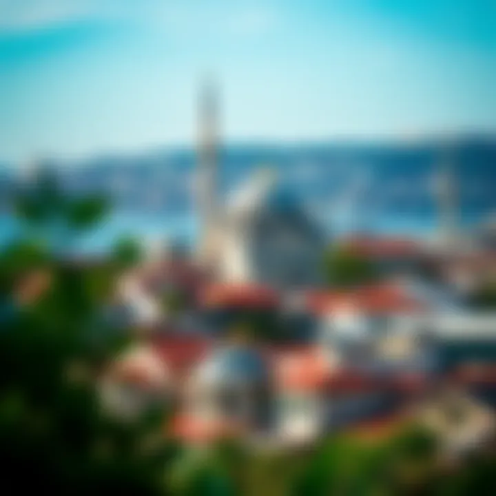 Cultural Splendor of Istanbul Scenic view of Istanbul showcasing its rich culture